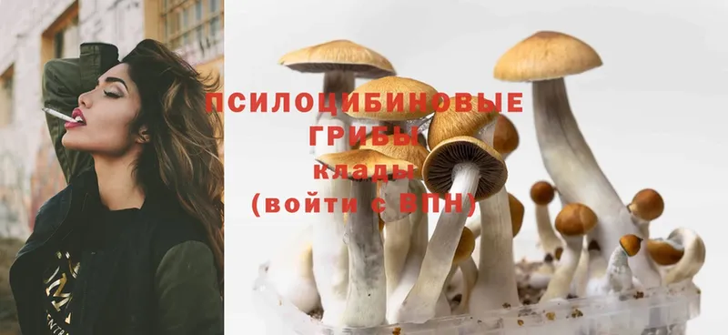 МЕГА ссылки  Лукоянов  Галлюциногенные грибы MAGIC MUSHROOMS 